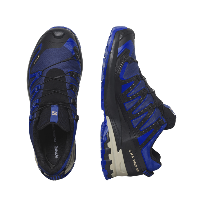 Salomon XA Pro v9 GTX Terrängsko Herr – Blå