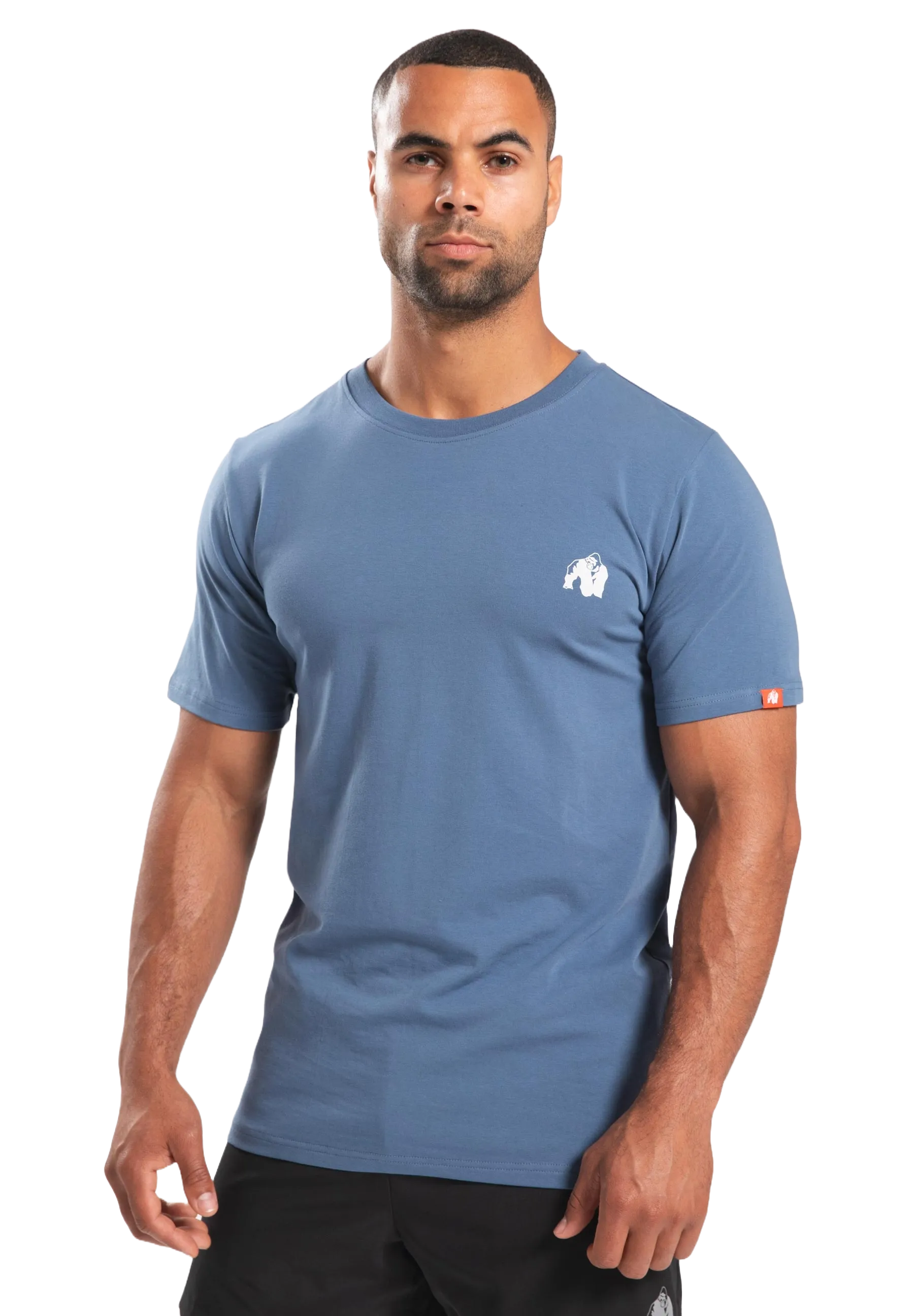 Gorilla Wear Warren T-Shirt, coronet blue