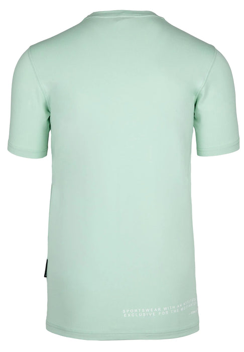Gorilla Wear Swanton T-Shirt, green