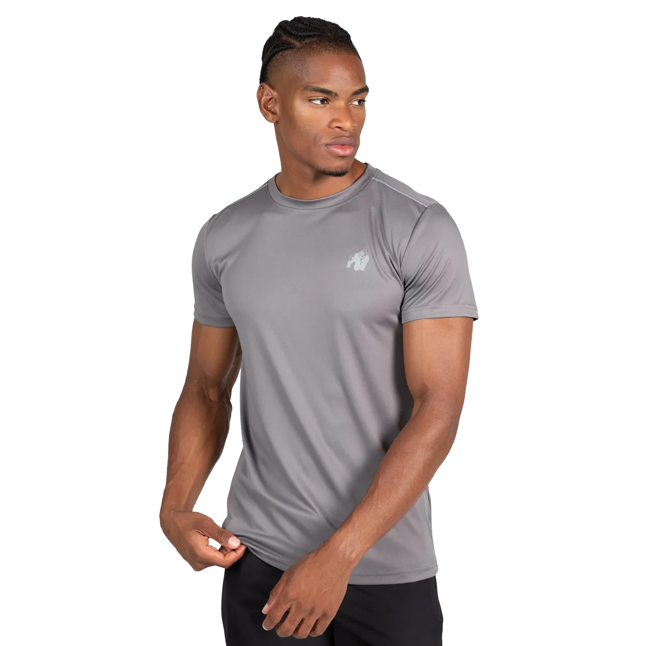 Gorilla Wear Easton T-Shirt, grey