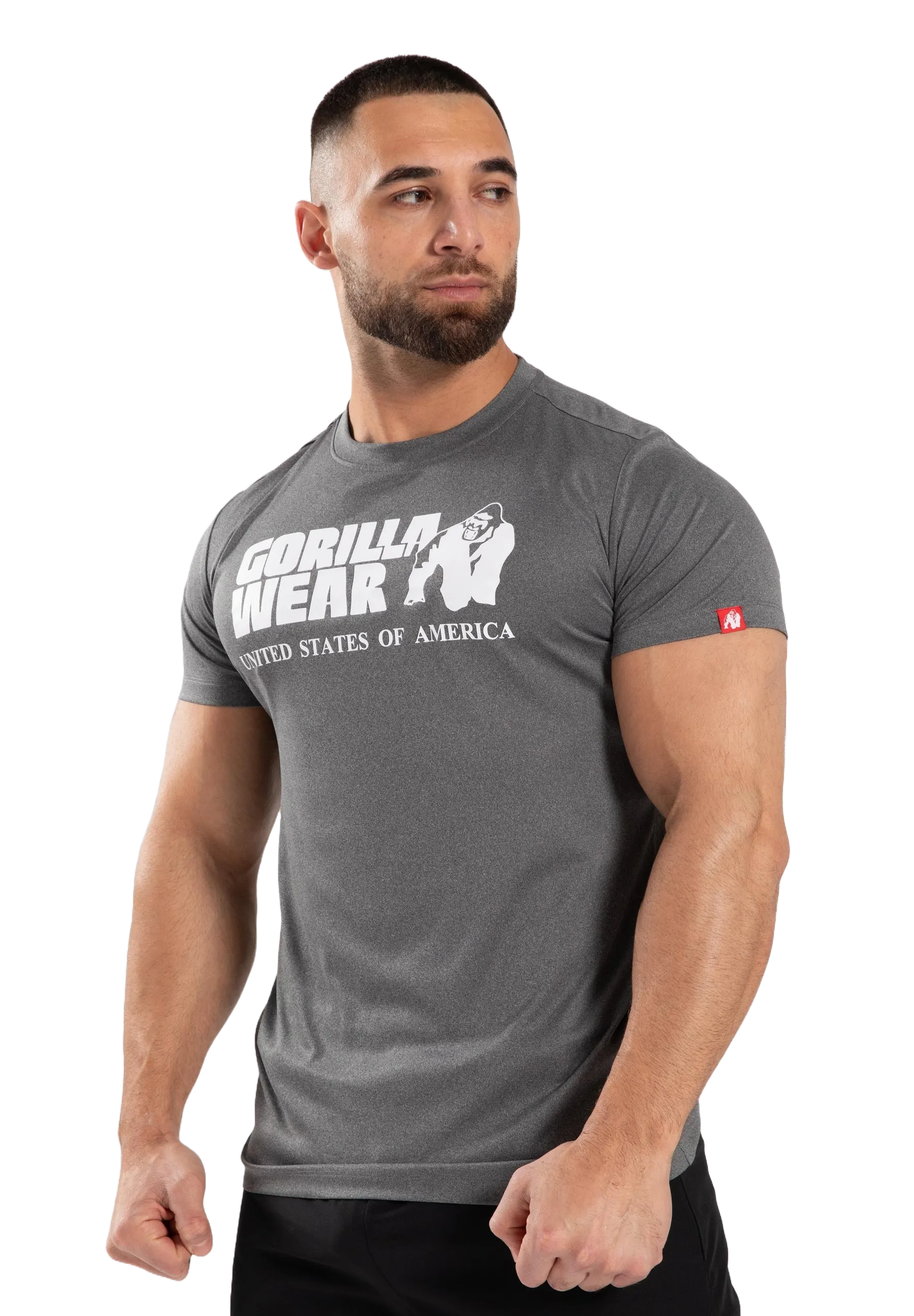 Gorilla Wear Classic Training T-Shirt, grey melange